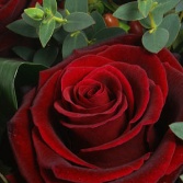 Opulence Red Roses